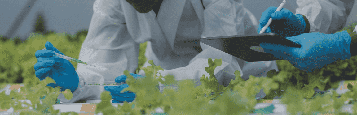 Engenharia de Alimentos