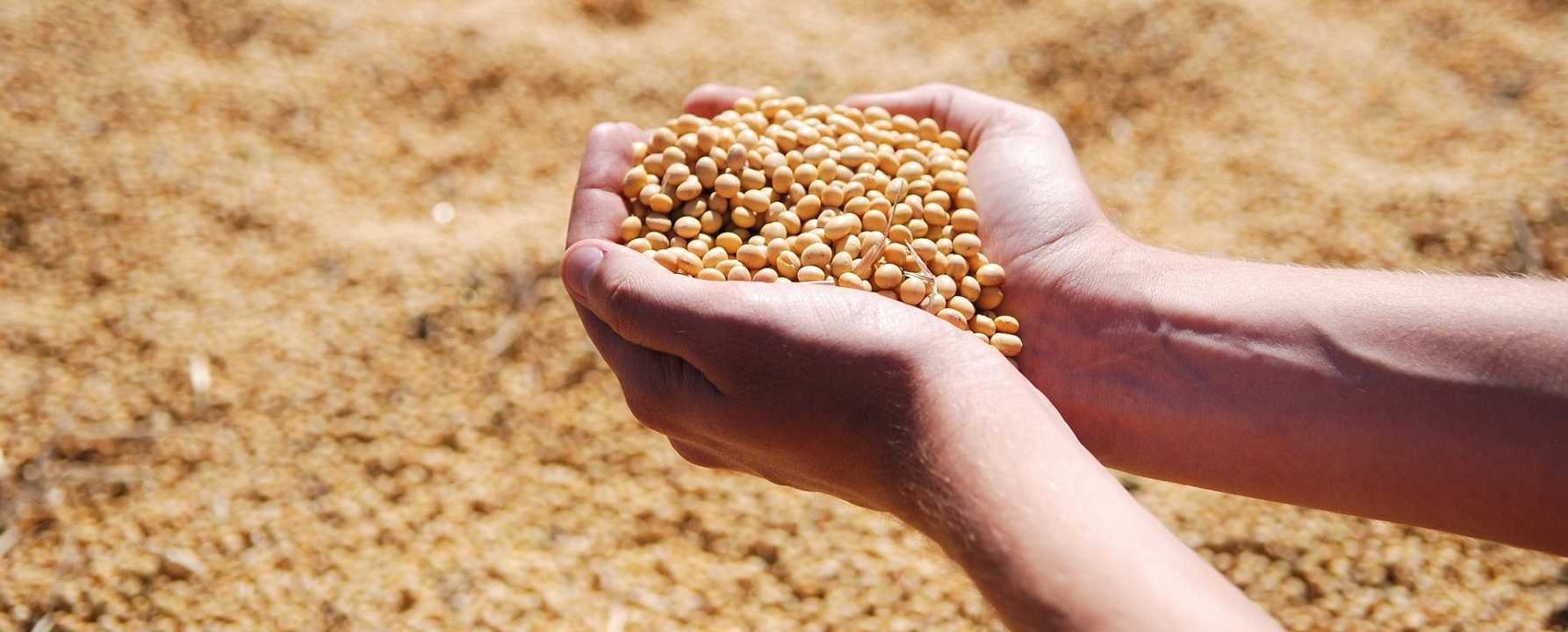 Tecnologia aumenta competitividade no agronegócio - Case Aprosoja