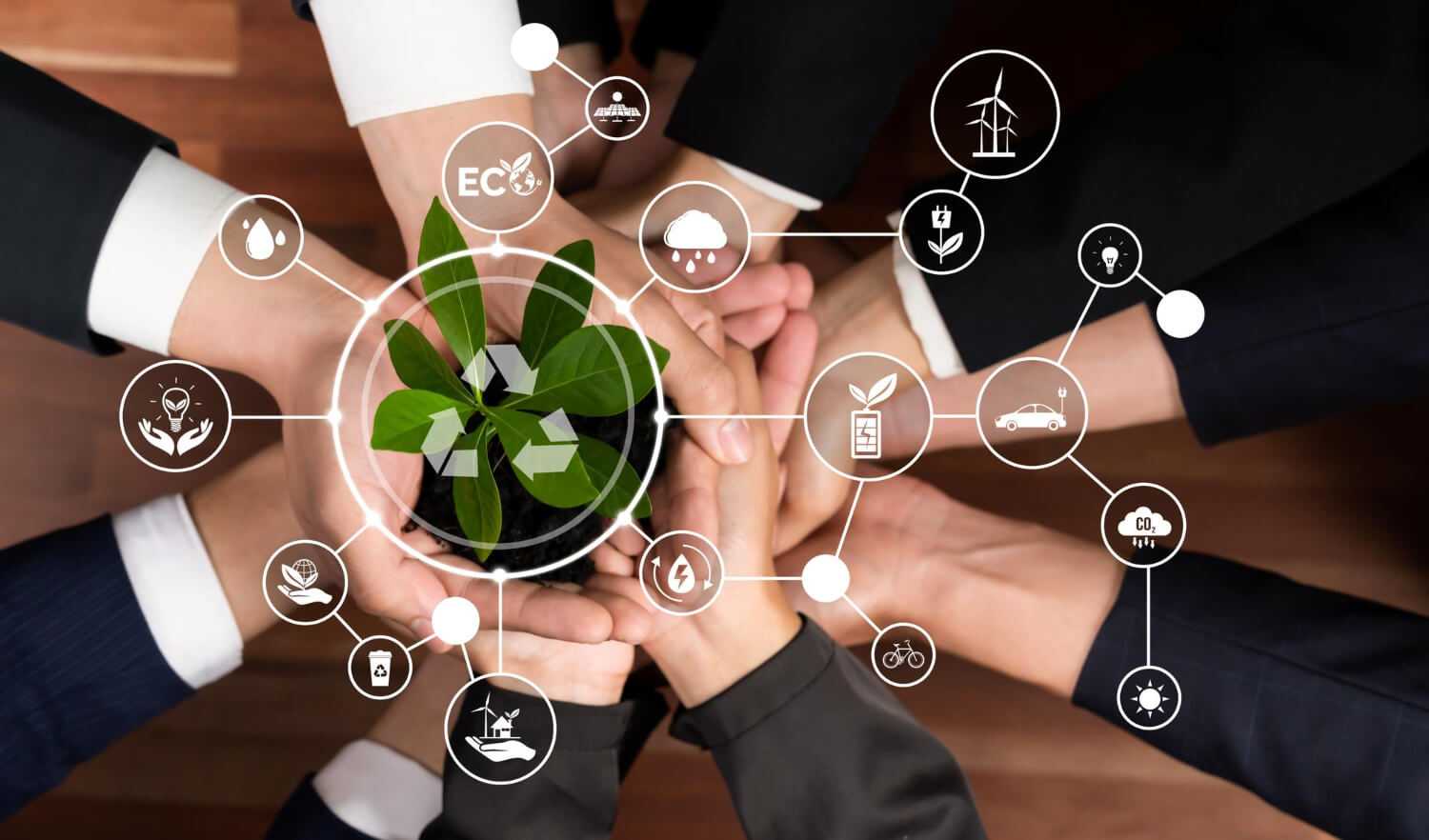 Discover how ISO 14001 can transform your business and protect the environment