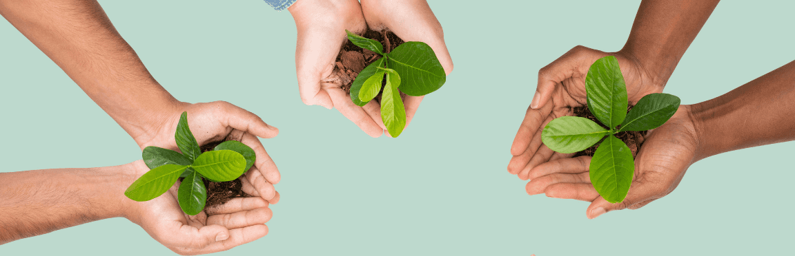 Día del Medio Ambiente