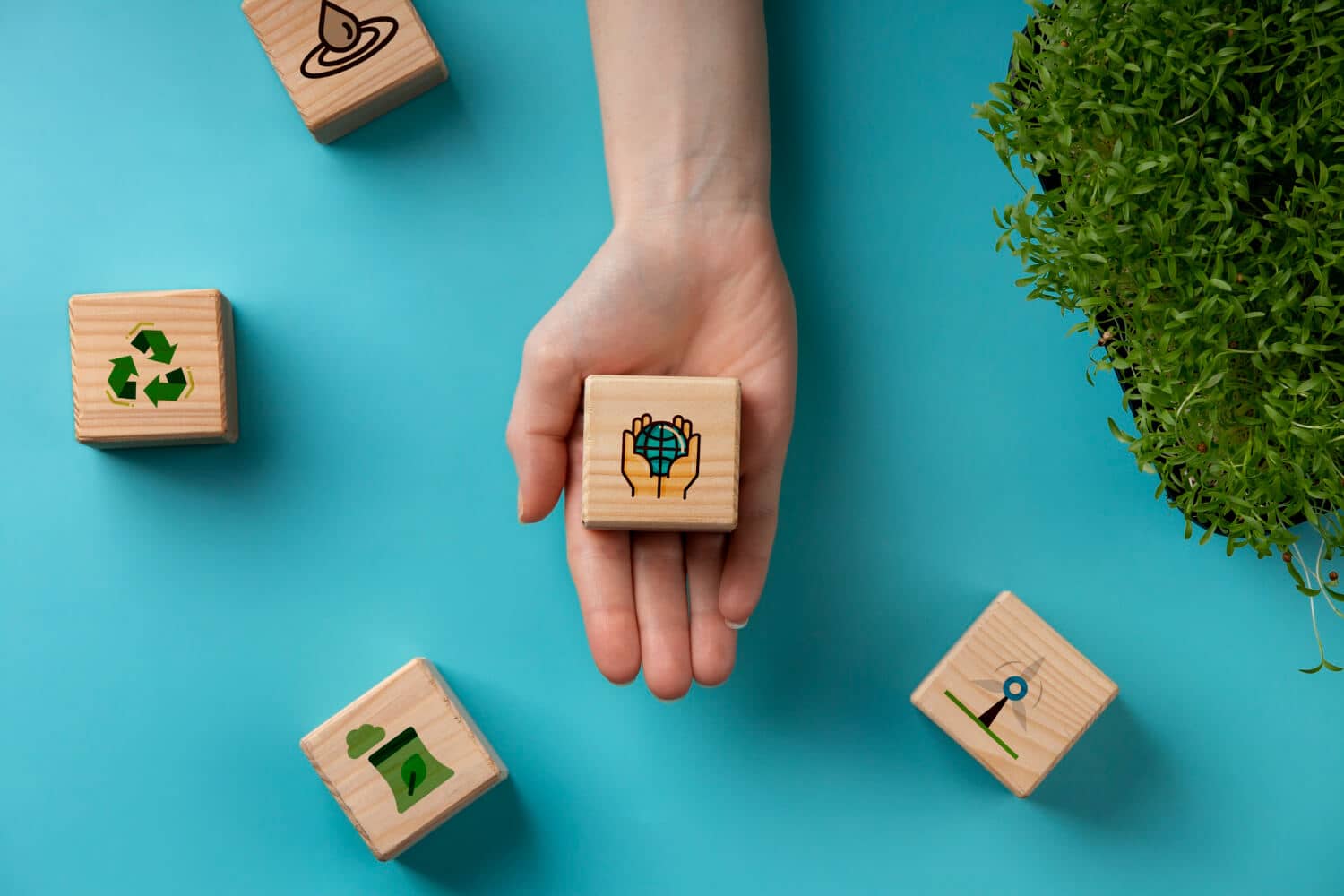 O que é a curva MACC? Entenda e revolucione suas estratégias ESG