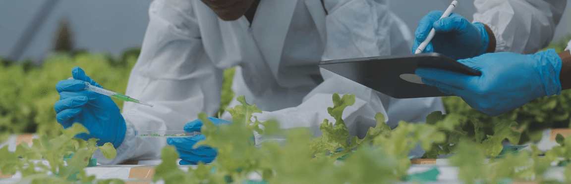 Ingeniería de Alimentos