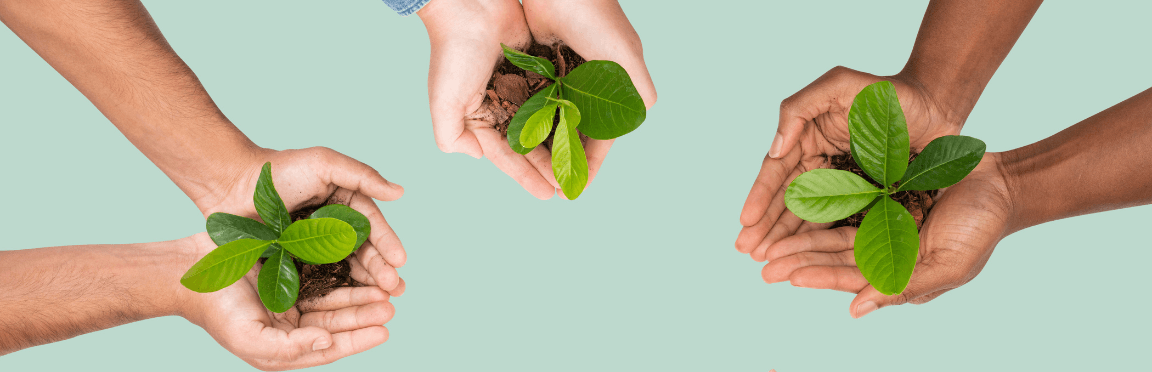 Día del Medio Ambiente