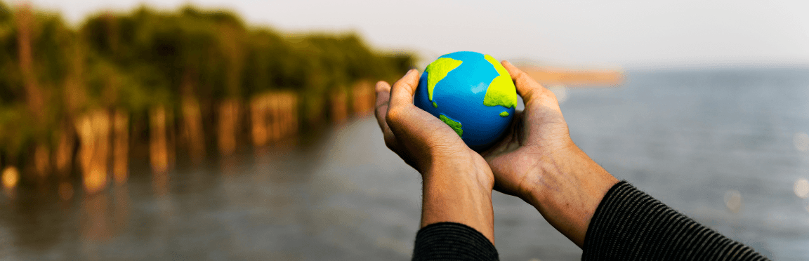 Environmental aspect