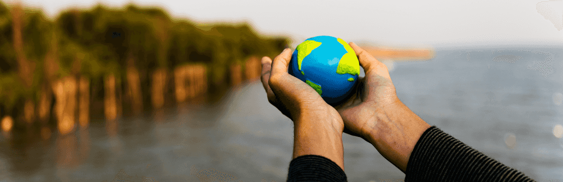 Environmental aspect