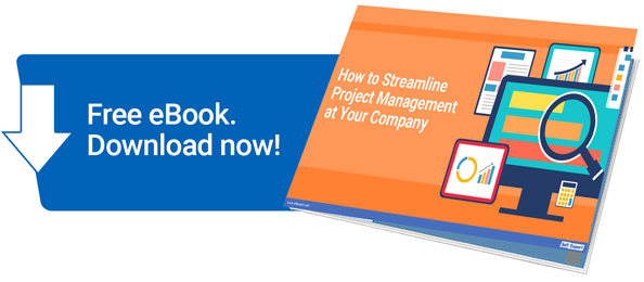 ebook project management